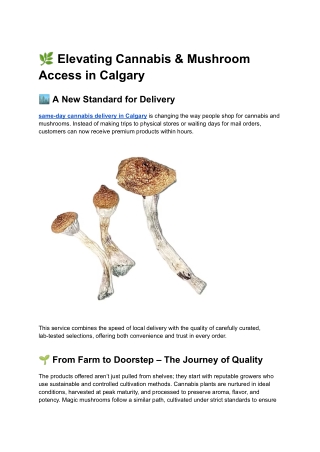 Elevating Cannabis & Mushroom Access in Calgary