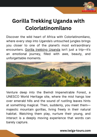 Gorilla Trekking Uganda – An Unforgettable Wildlife Adventure