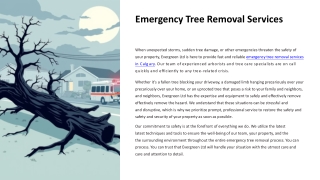 Emergency Tree Removal Services - Evergreen Ltd