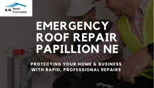 Roof Restoration Papillion NE – Revive & Protect Your Roof