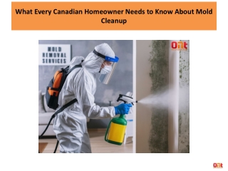 What Every Canadian Homeowner Needs to Know About Mold Cleanup