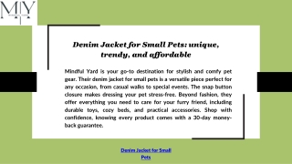 Denim Jacket for Small Pets: unique, trendy, and affordable