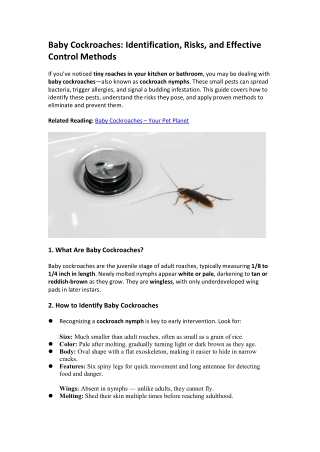 Baby Cockroaches: Identification, Life Cycle & Effective Removal Tips