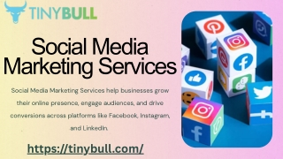 Data-Driven Social Media Marketing Services for Real Growth – TinyBull