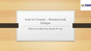 High-Quality Soda for Ceramic – Zillion Sawa Minerals Pvt. Ltd.