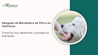 Llevar un caso de mordedura de perro a los tribunales: el proceso legal explicad