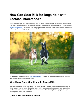 How Can Goat Milk for Dogs Help with Lactose Intolerance?