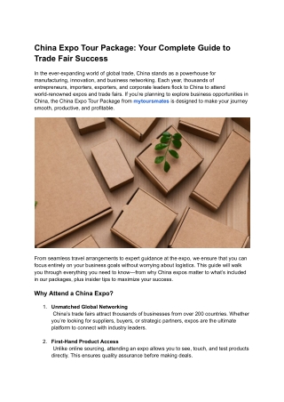 china expo tour package