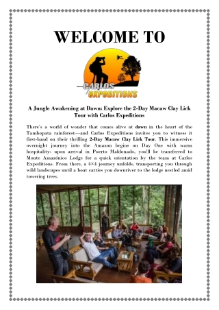 Enchanting 2-Day Amazon Macaw Clay-Lick in Tambopata