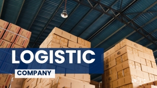 Logistics Virtual Assistant Services – Streamline Supply Chain Operations with