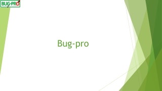 Pest Control Companies in Lagos