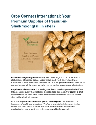 Crop Connect International Your Premium Supplier of Peanut-in-shell