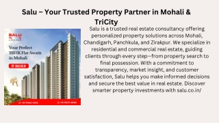 Salu Real Estate: Strategic Property Consulting for Mohali & Beyond