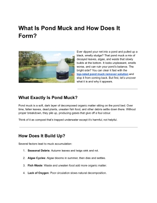 What Is Pond Muck and How Does It Form (1)