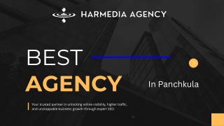 Best SEO Agency in Panchkula | HarMedia
