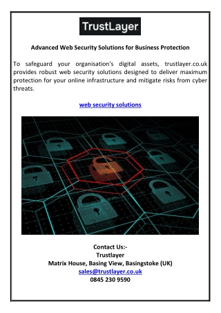 Advanced Web Security Solutions for Business Protection