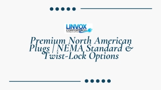 Premium North American Plugs | NEMA Standard & Twist‑Lock Options