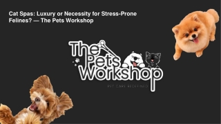 Cat Spas Luxury or Necessity for Stress-Prone Felines  — The Pets Workshop