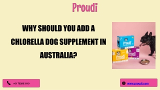 Why Should You Add A Chlorella Dog Supplement In Australia?