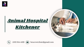 Caring Animal Hospital Kitchener | Local Kitchener Vet Care & Pet Services Near