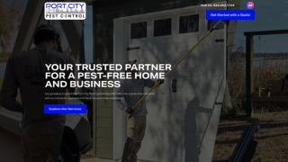 Reliable Termite Treatment in Mt Pleasant, SC