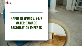 Rapid Response 247 Water Damage Restoration Experts