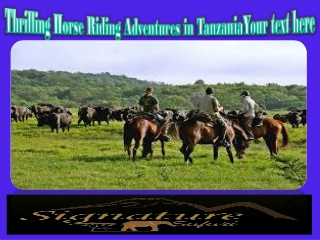 Thrilling Horse Riding Adventures in Tanzania