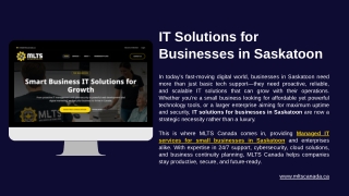IT Solutions for Businesses in Saskatoon | MLTS Canada