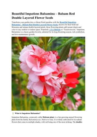 Beautiful Impatiens Balsamina – Balsam Red Double Layered Flower Seeds