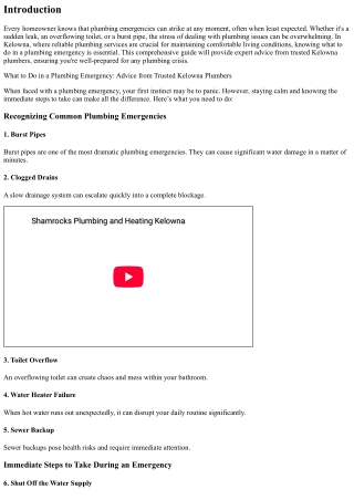 What to Do in a Plumbing Emergency: Advice from Trusted Kelowna Plumbers