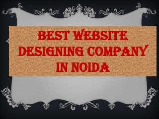 Best Website Designing Company in Noida