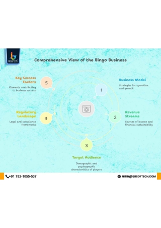 Bingo Game Business at a Glance | BR Softech Development