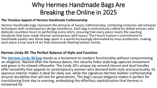 Why Hermes Handmade Bags Are Breaking the Online in 2025