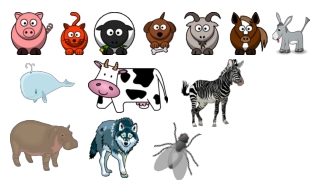 Untitled presentation