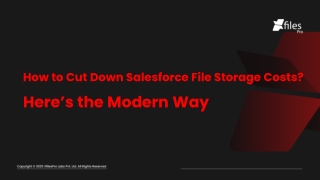 SEO PPT_How to Cut Down Salesforce File Storage Costs_ The Modern Way