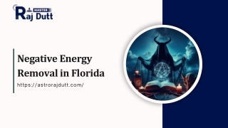 Negative Energy Removal in Florida