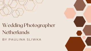 Wedding Photographer Netherlands