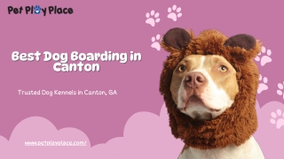 Best Dog Boarding in Canton