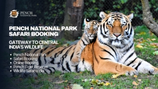 Pench Safari Planner Optimize Your Wildlife Tour & Tiger Sightings