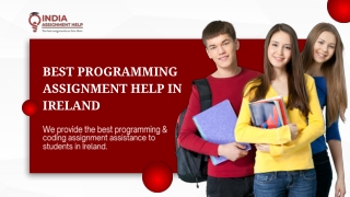 Best Programming Assignment Help In Ireland