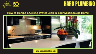 How to Handle a Ceiling Water Leak in Your Mississauga Home