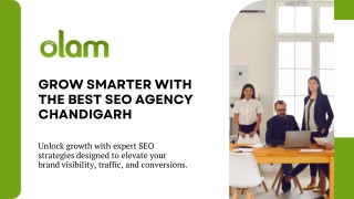 Grow Smarter with the Best SEO Agency Chandigarh