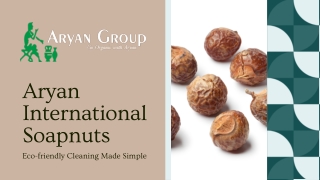 Organic Soapnuts - Manufacturers, Suppliers & Wholesalers.