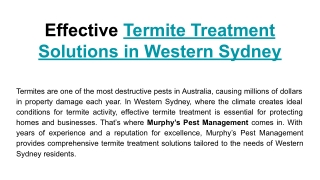 Effective Termite Treatment Solutions in Western Sydney