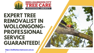 Expert Tree Removalist in Wollongong- Professional Service Guaranteed!