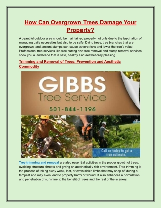 How Can Overgrown Trees Damage Your Property?