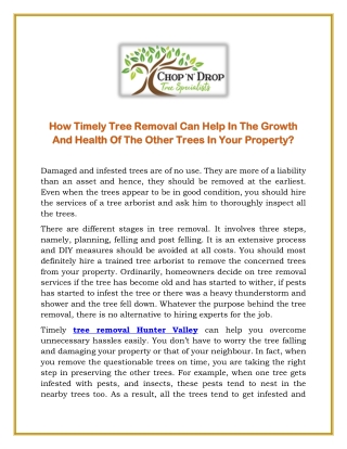 How Timely Tree Removal Can Help In The Growth And Health Of The Other Trees In Your Property