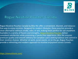 Rogue Nicotine Pouches Canada