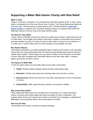 Supporting a Water Well Islamic Charity with Rise Relief