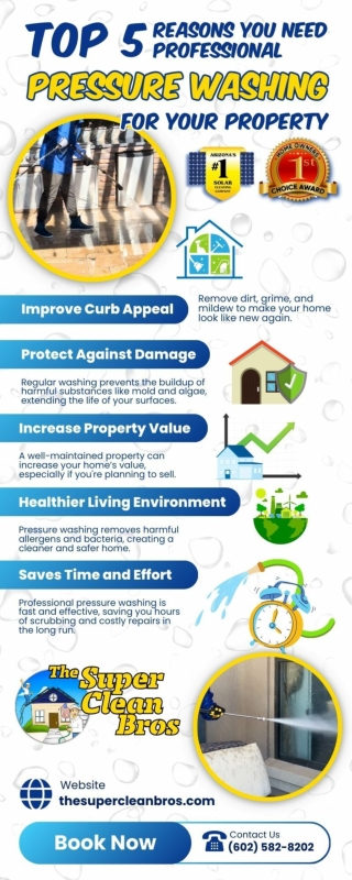 Top 5 Reasons You Need Professional Pressure Washing for Your Property